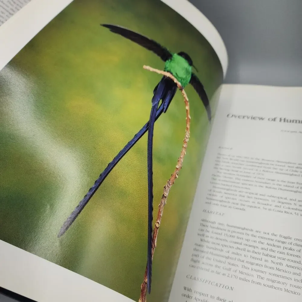 Hummingbirds of the Caribbean Bird Photos Information Nature HC DJ Signed READ